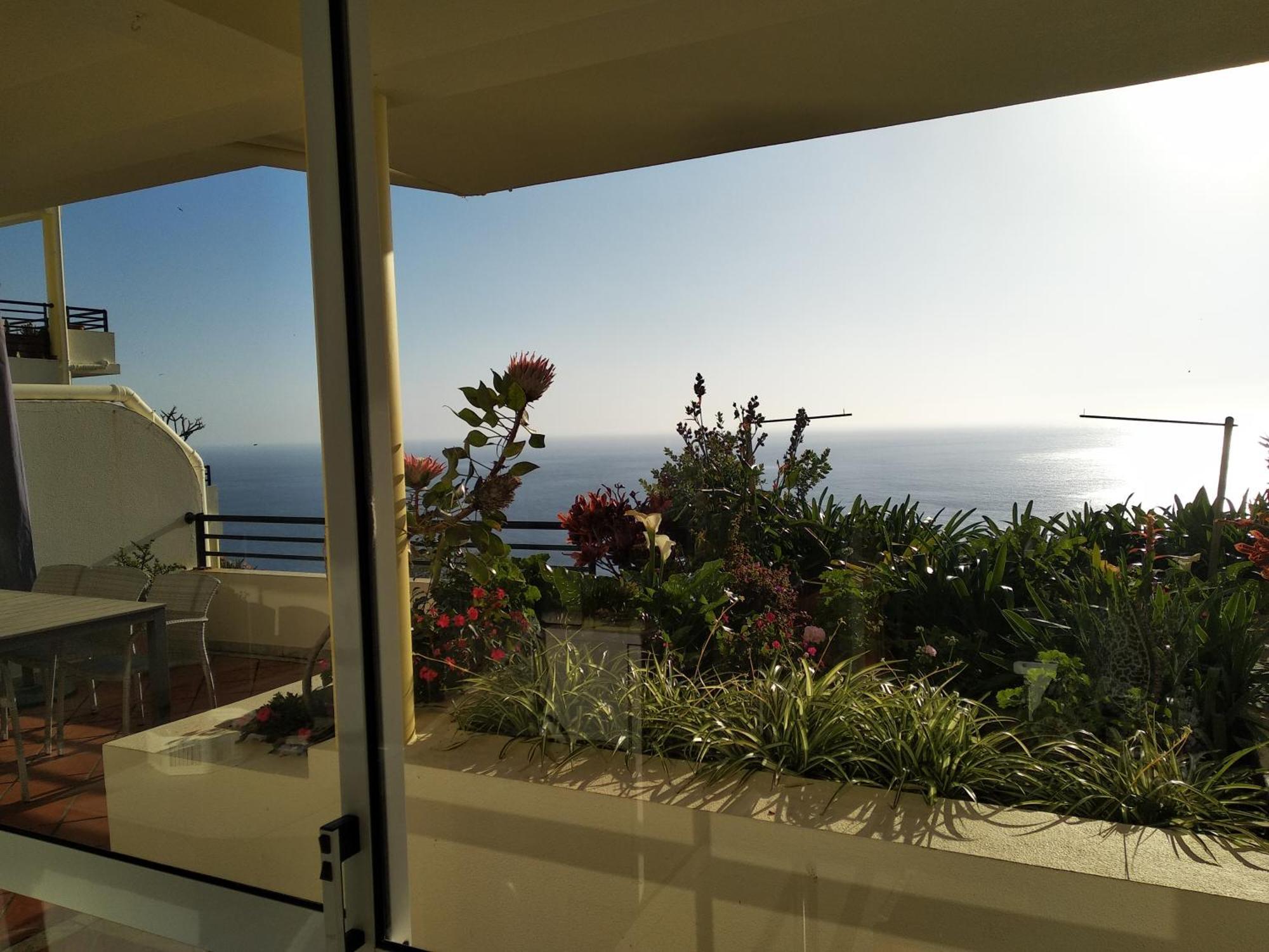 Appartement Jardim Do Arco "Esmee" à Arco da Calheta  Extérieur photo